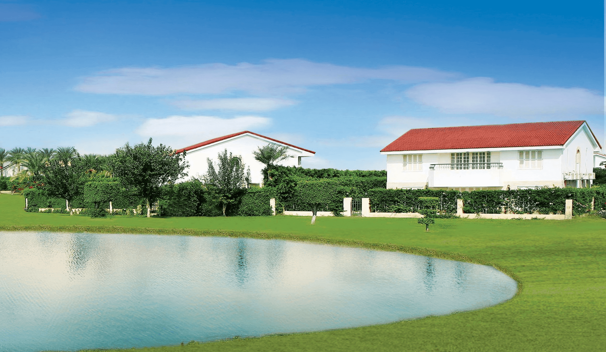 Al Rabwa, Sheikh Zayed - Egypt